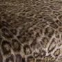 Chivasso Stay Wild CA1909/070