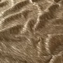 Chivasso Tender Crush CH3068/020