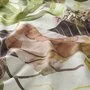 Chivasso Heaven'S Garden CH3153/060