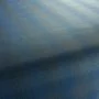 JAB Anstoetz Tanto CX1059-051