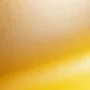JAB Anstoetz Gauchito JA1050-