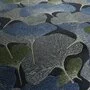 JAB Anstoetz Ginkgo JA2055-050