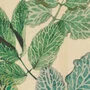 Kendix Herba 010692-0050