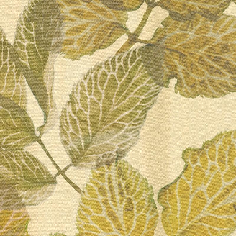 Stoff Herba-0060 von Kendix