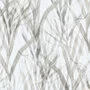 Kendix Botanical-Grass-T 011944-