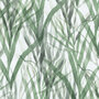 Kendix Botanical-Grass-T 011944-