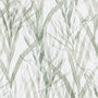 Kendix Botanical-Grass-U 011945-