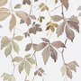 Kendix Botanical-Leaf-U 011945-