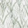 Kendix Botanical-Ranks-U 011945-