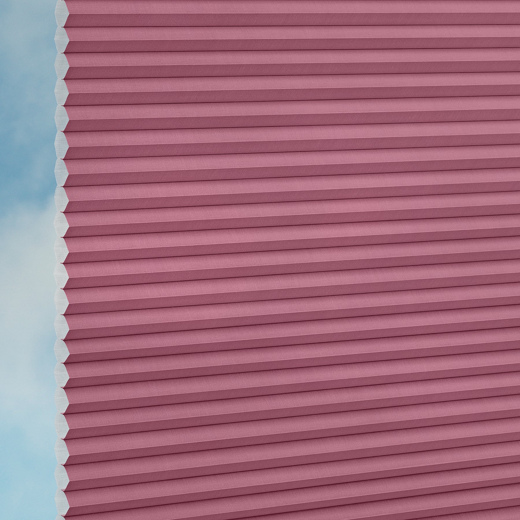 Doupli Wabenplisseestoff Elan Duotone 22E04