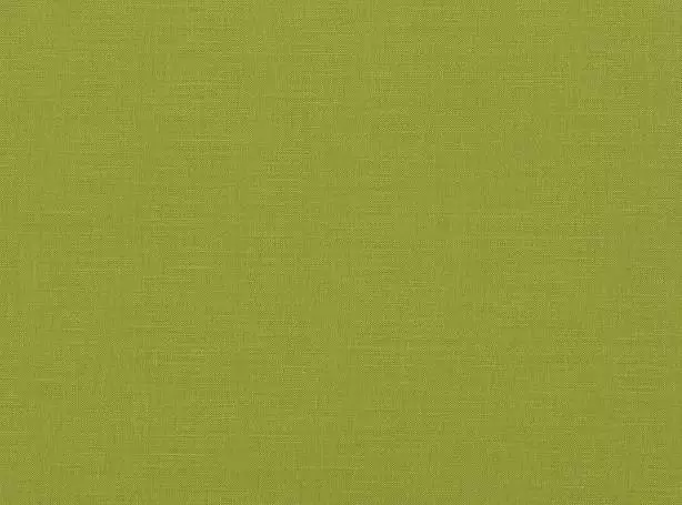 Stoff Linara 2494-186 von Romo
