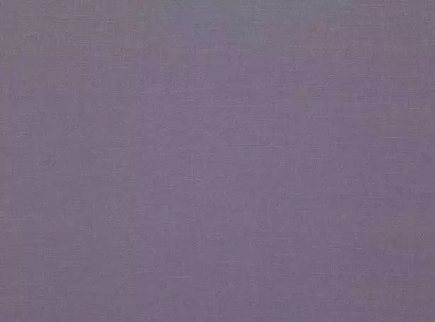 Stoff Linara 2494-289 von Romo