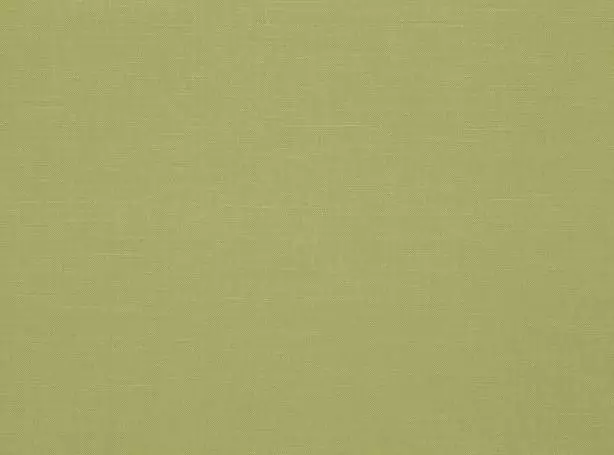 Stoff Linara 2494-294 von Romo