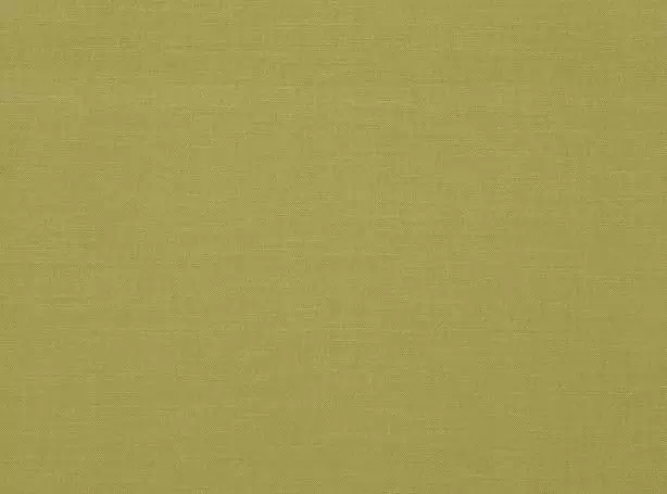 Stoff Linara 2494-295 von Romo