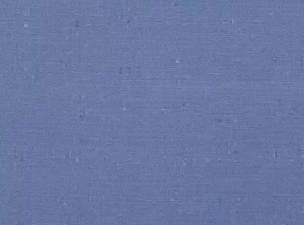 Stoff Linara 2494-297 von Romo