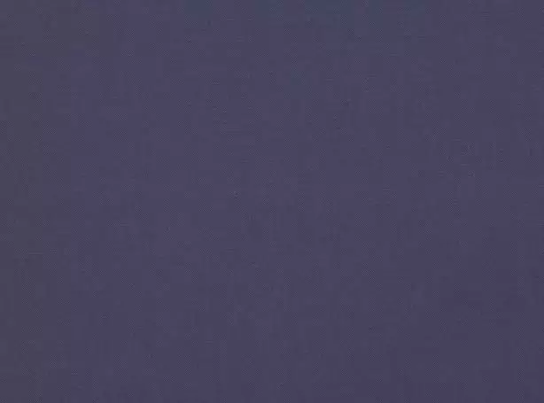 Stoff Linara 2494-333 von Romo