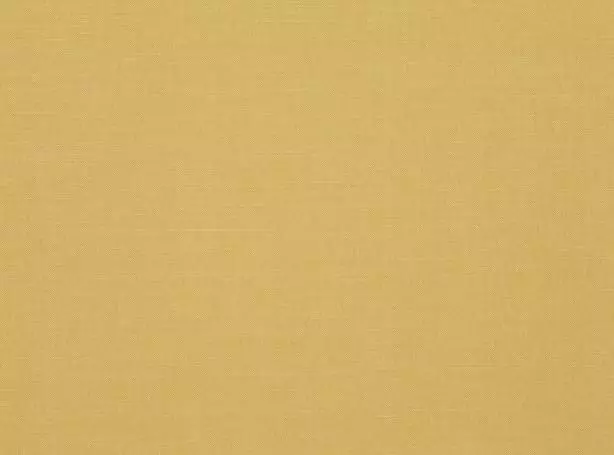 Stoff Linara 2494-347 von Romo