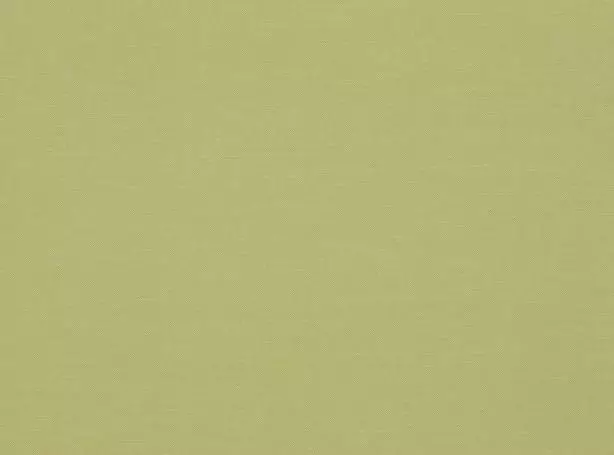 Stoff Linara 2494-351 von Romo