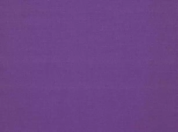 Stoff Linara 2494-365 von Romo