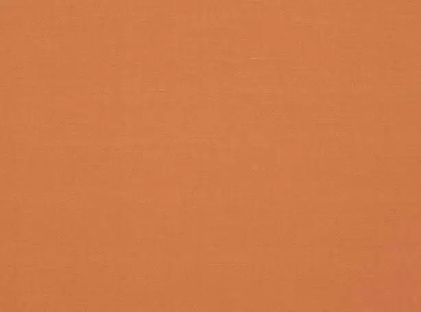 Stoff Linara 2494-368 von Romo