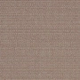 Mira X by Tisca Tiara Allegro 9128-30