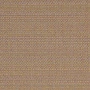 Mira X by Tisca Tiara Allegro 9128-50