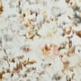 Etamine Le Bouquet 19574-884