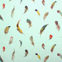 Zimmer + Rohde Birds Gallery 10623-634